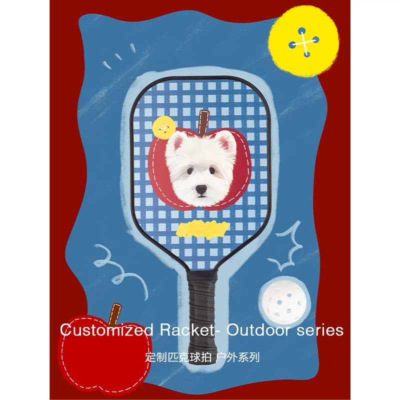 Raquette de pickleball ZHAYA T - Sports Equipment Photos avis et prix